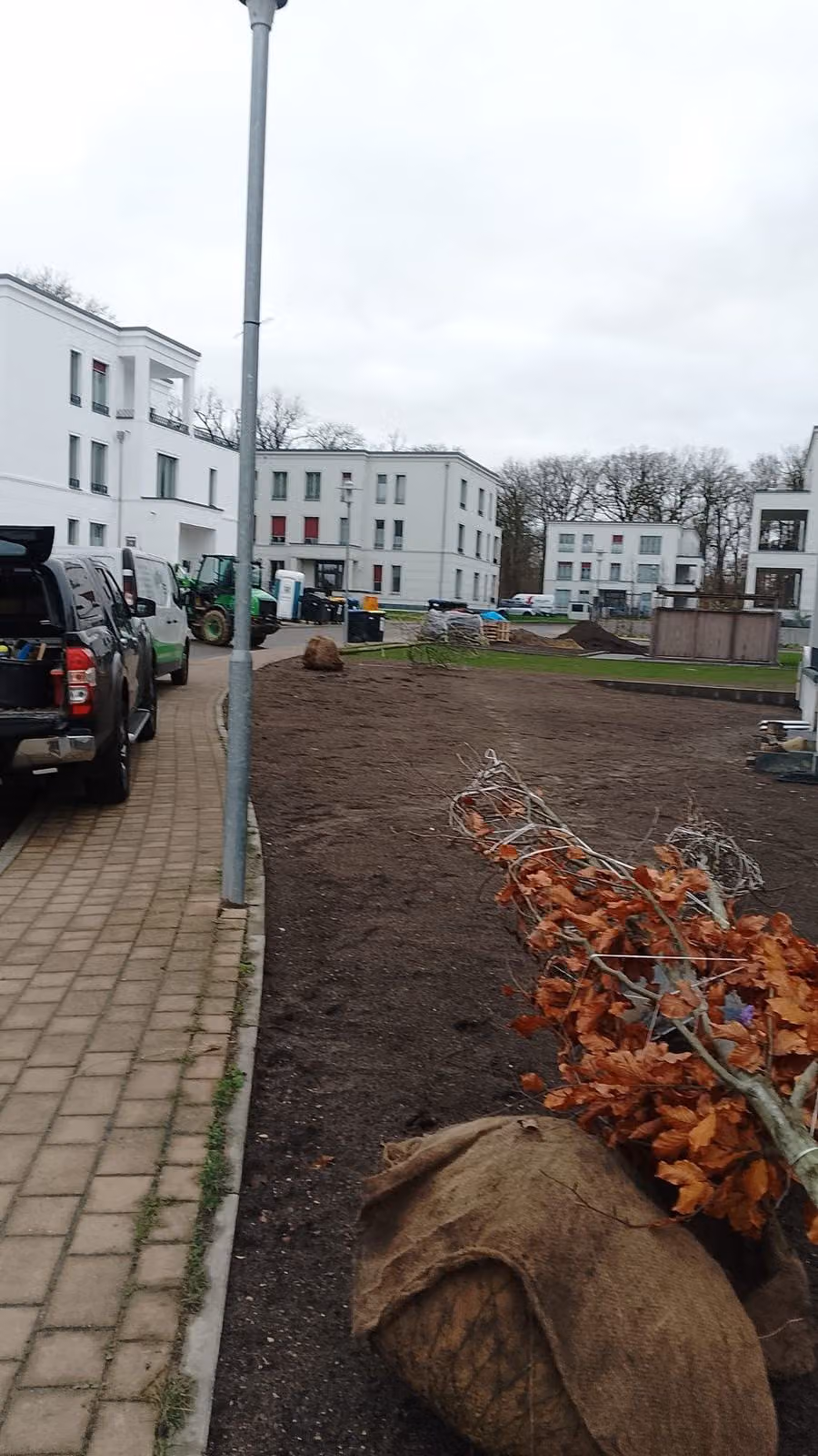 Angelieferte Ballenware entlang des Pflanzstreifens einer neuen Wohnanlage