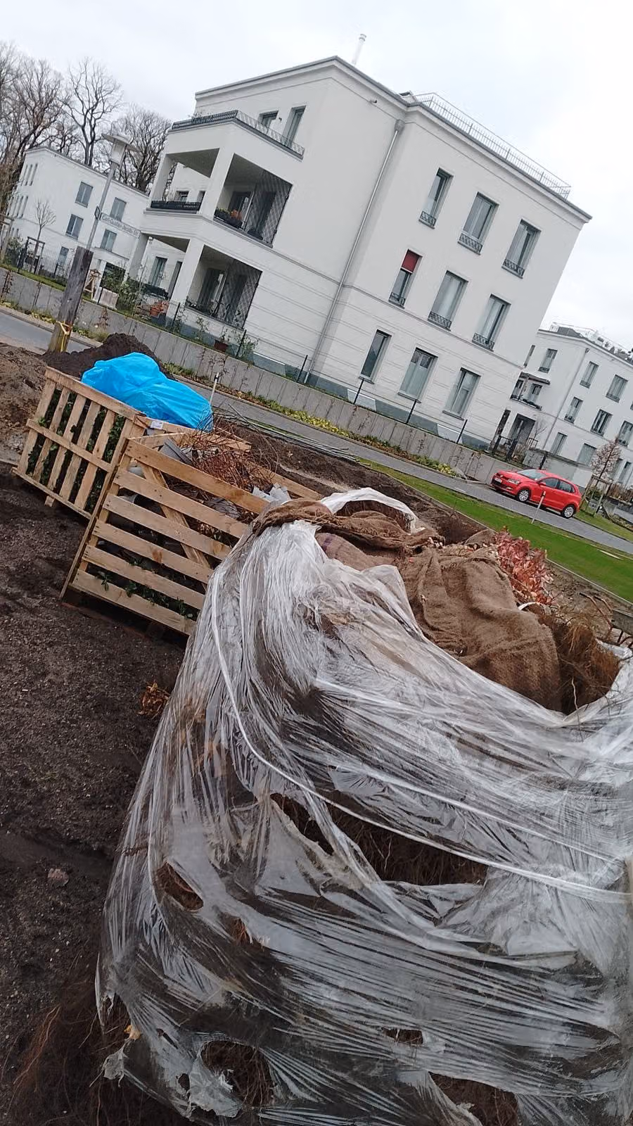 Ballenware zum Schutz vor Austrocknung eingeschlagen und abgedeckt gelagert