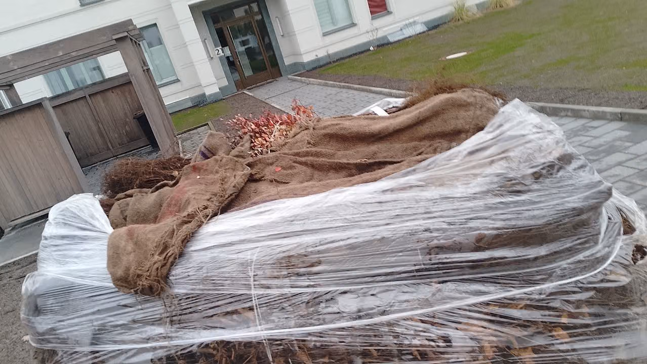 Anlieferung von Ballenware und Wurzelware unter Folie auf dem Anhänger
