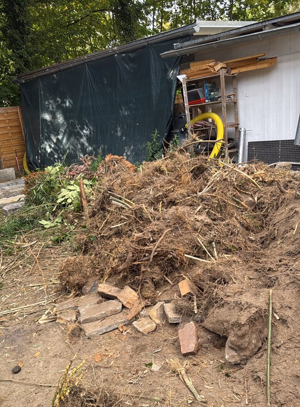 Haufen aus ausgebaggerten Bambusrhizomen und durchwurzeltem Boden auf einer Baustelle