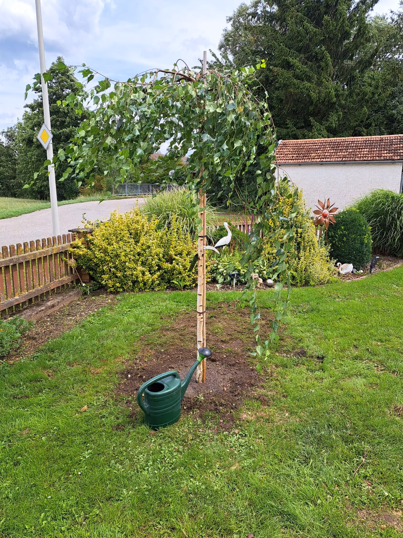 Frisch gepflanzter Baum mit Baumpfahl und Gießrand im Vorgarten