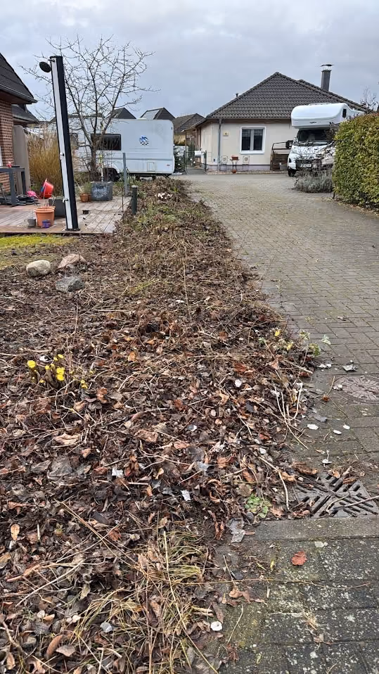 Rückschnitt am Gehwegrand im Winter, Fläche geräumt und begehbar