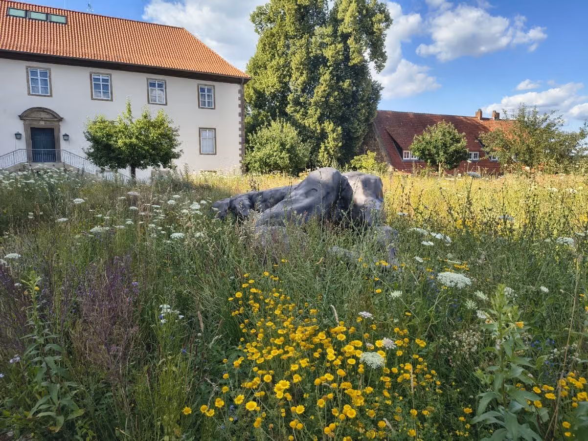 Artenreiche Blühwiese mit Färberkamille und Gräsern vor einem historischen Gutshaus