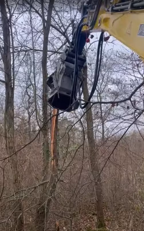Fällgreifer am Bagger schneidet einen Stamm auf der Baustelle ab