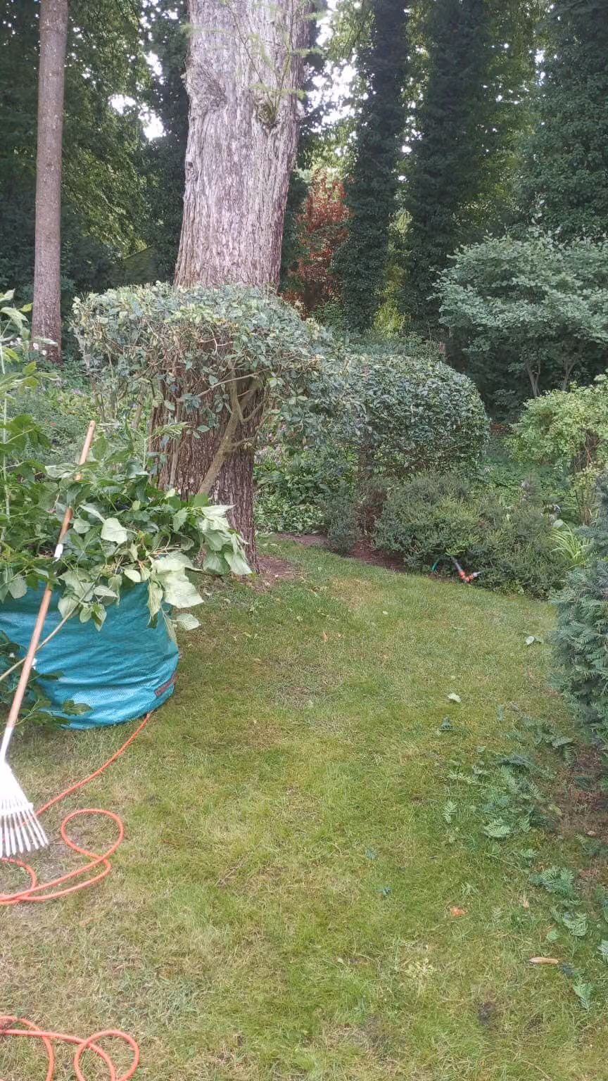 Geschnittene Gehölze im Garten, Grünschnitt gesammelt im Gartensack zur Abfuhr