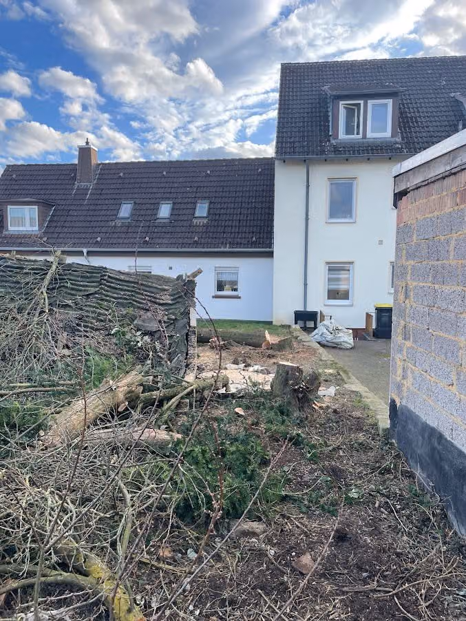 Freigeräumte Fläche neben dem Wohnhaus, Stubben und Schnittgut vor dem Abtransport
