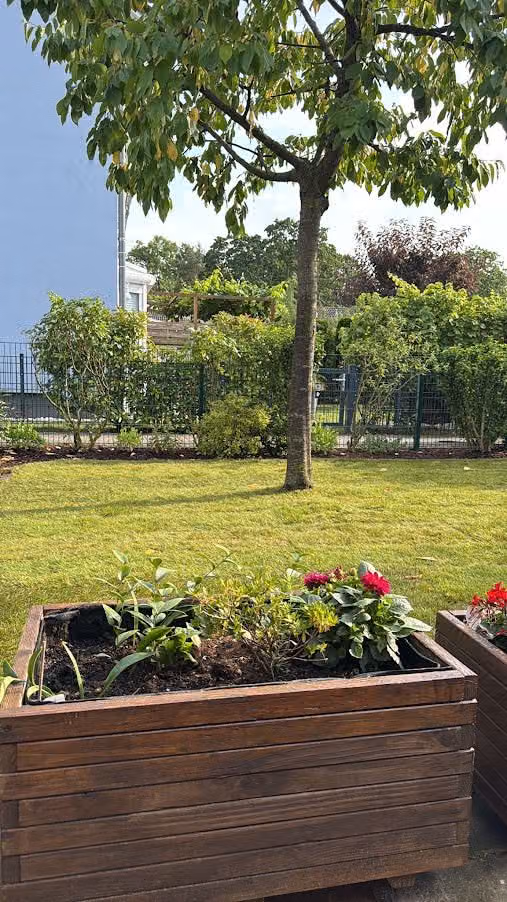 Fertiger Hausgarten mit angewachsener Rasenfläche, Baum und bepflanzten Holzhochbeeten