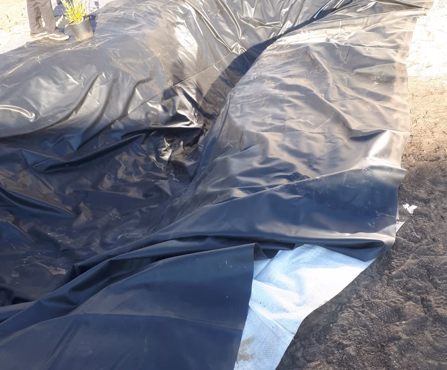 Schwarze Teichfolie in einem Stück über das helle Schutzvlies in die ausgehobene Teichgrube gelegt