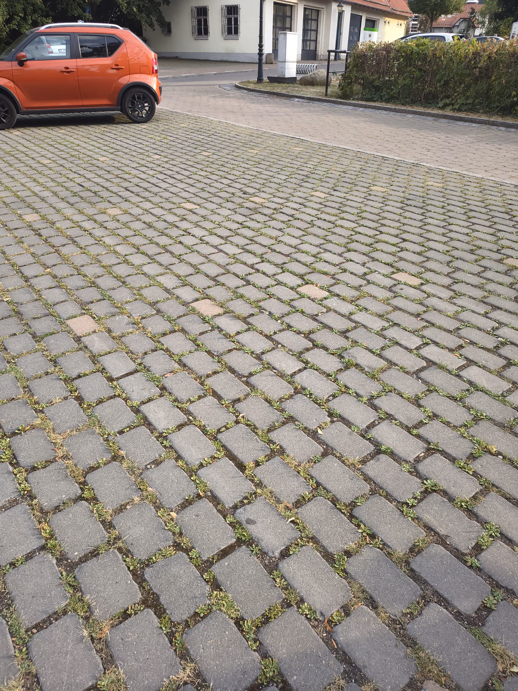 Parkplatz aus Ökopflaster mit breiten Fugen, in denen flächig Grün wächst