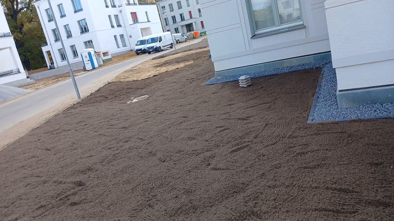 Abgezogenes Saatbeet mit Spritzschutz aus Kiesstreifen entlang der Hausfassade