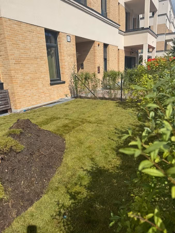 Angewachsene Rasenfläche am Neubau mit sauber abgesetzter Beetkante