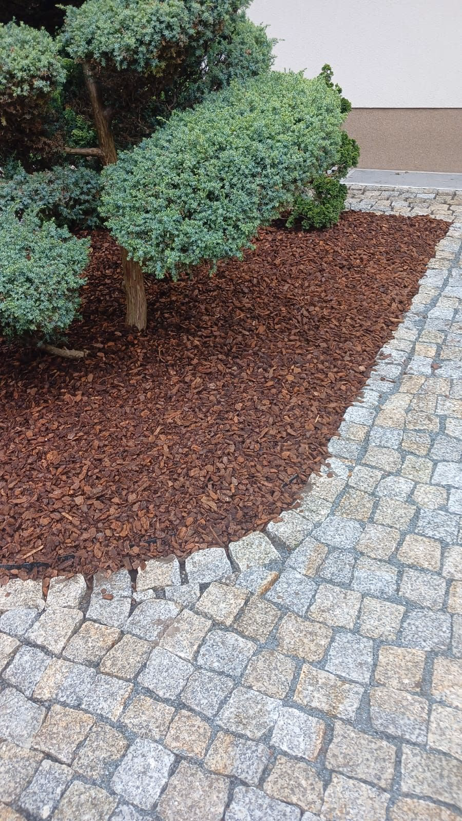 Fertiges Rindenmulchbeet mit sauberer Granitkante zum Rasen