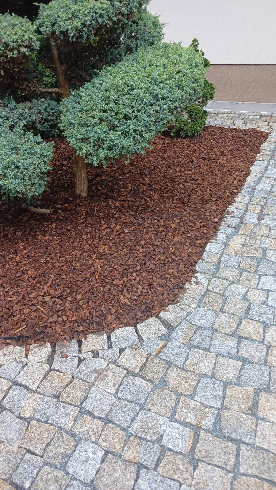 Rindenmulchbeet mit Granitkante entlang einer Rasenfläche