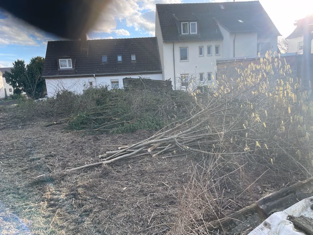 Geordnet gestapeltes Astmaterial und Stammholz nach der Rodung, getrennt zum Abtransport