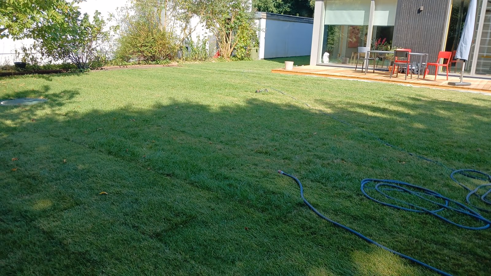 Fertig verlegter und angewachsener Rollrasen im Hausgarten am Neubau
