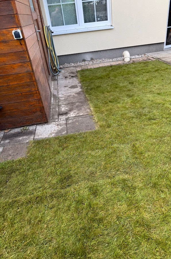 Fertig verlegter Rollrasen mit sauberem Anschluss an Terrassenplatten und Spritzschutz