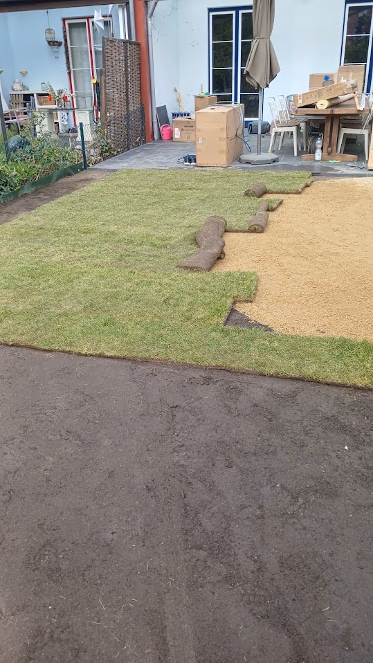 Rollrasenbahnen werden auf dem vorbereiteten Sandplanum im Hausgarten verlegt