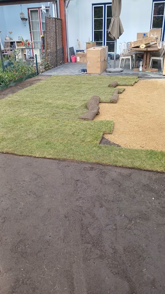 Rollrasenbahnen werden auf dem vorbereiteten Sandplanum im Hausgarten verlegt