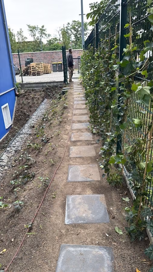 Trittplattenweg entlang von Hecke und Zaun, in die Rasenfläche eingelassen