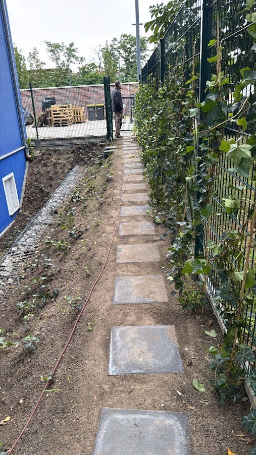 Trittplattenweg zwischen Hecke und Zaun, Platten in gleichmäßigem Abstand