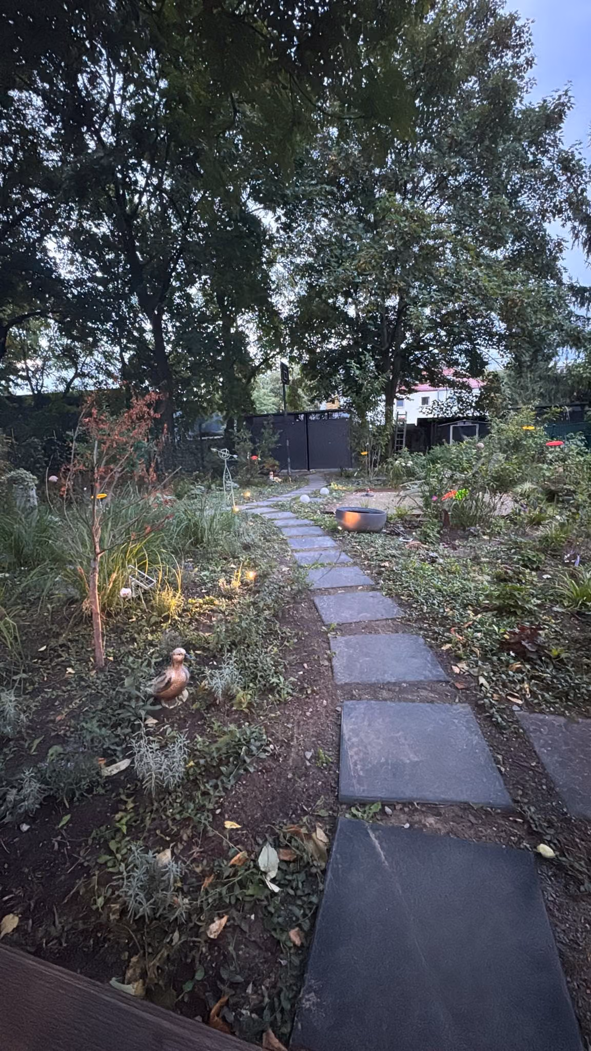 Weg aus großen dunklen Trittplatten durch ein Staudenbeet, abends von niedrigen Leuchten beleuchtet