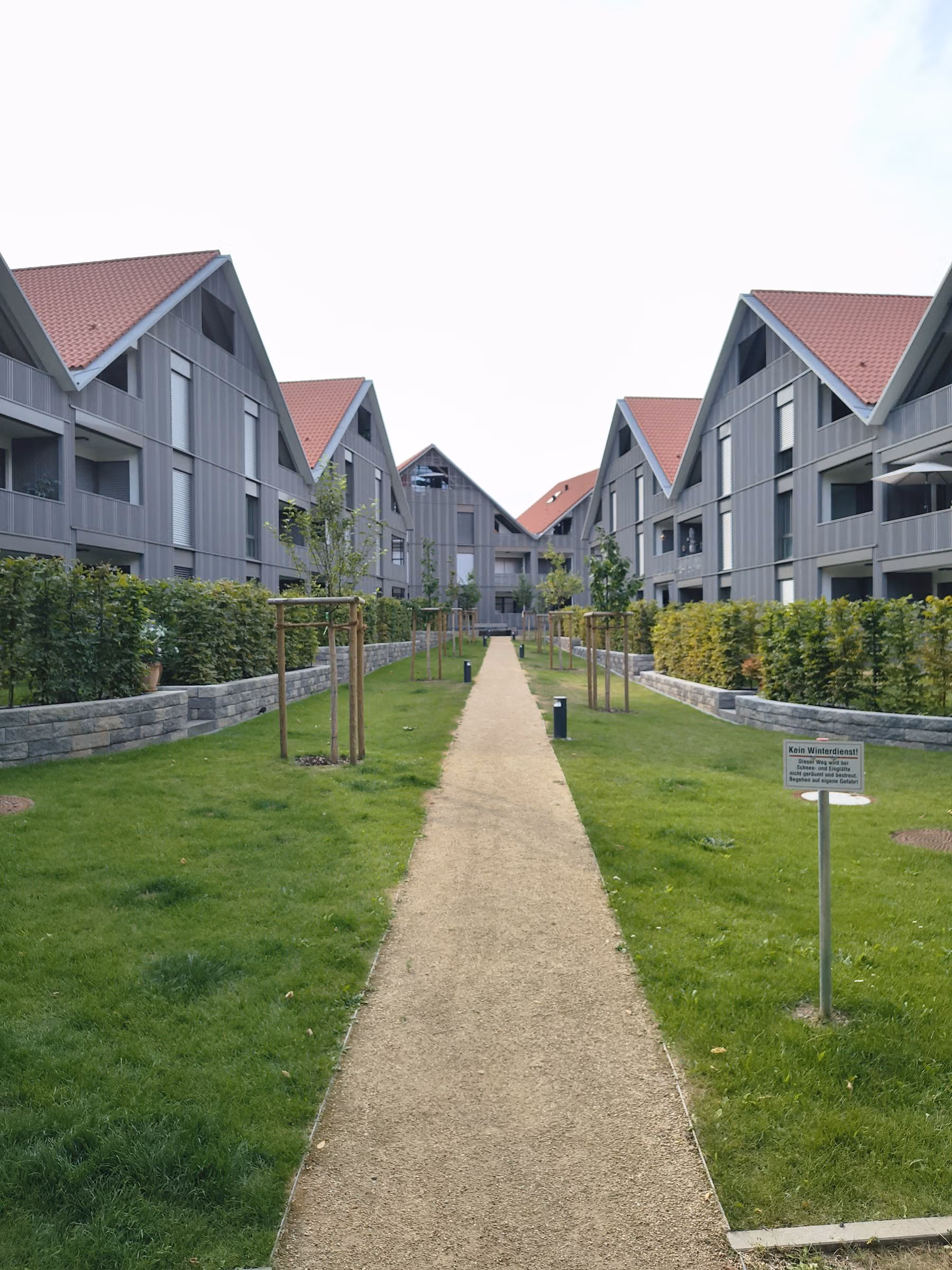 Wassergebundene Wegedecke in Beige, beidseitig Rasen, parallel dazu eine Reihe frisch gepflanzter Jungbäume mit Dreibock-Verankerung vor modernen Wohngebäuden