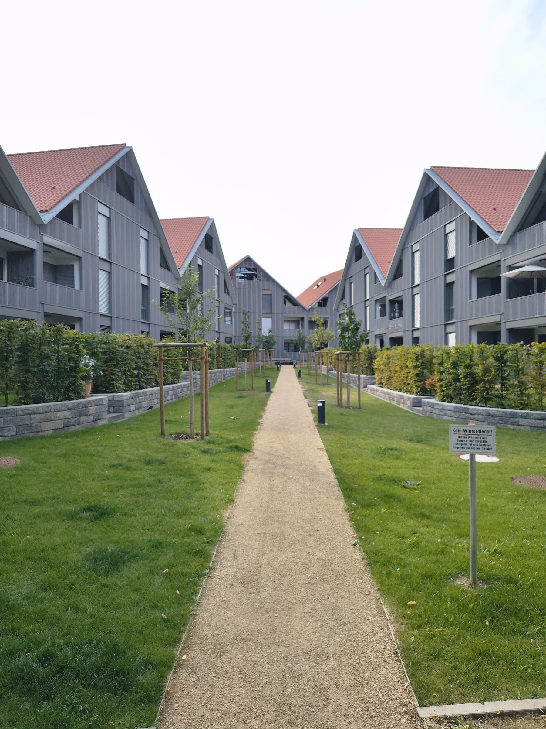 Wassergebundene Wegedecke in Beige, beidseitig Rasen, parallel dazu eine Reihe frisch gepflanzter Jungbäume mit Dreibock-Verankerung vor modernen Wohngebäuden